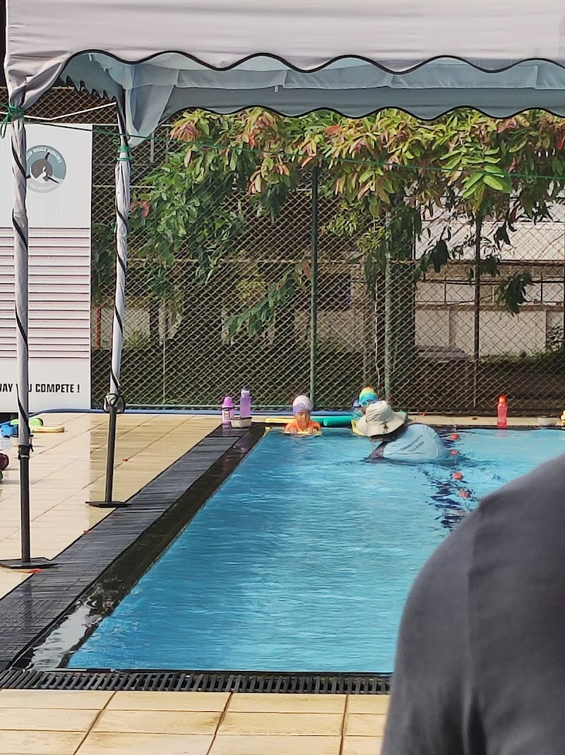 SwimAmerica Sri Lanka (Killer Whale Aquatics) — Photo 3