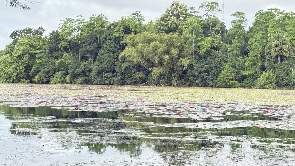 Talangama Wetlands
